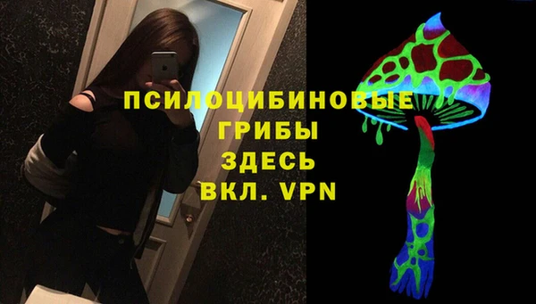 трава Армянск